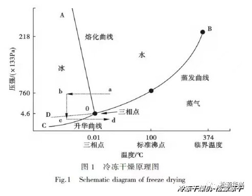 真空冷凍干燥機(jī)工作原理